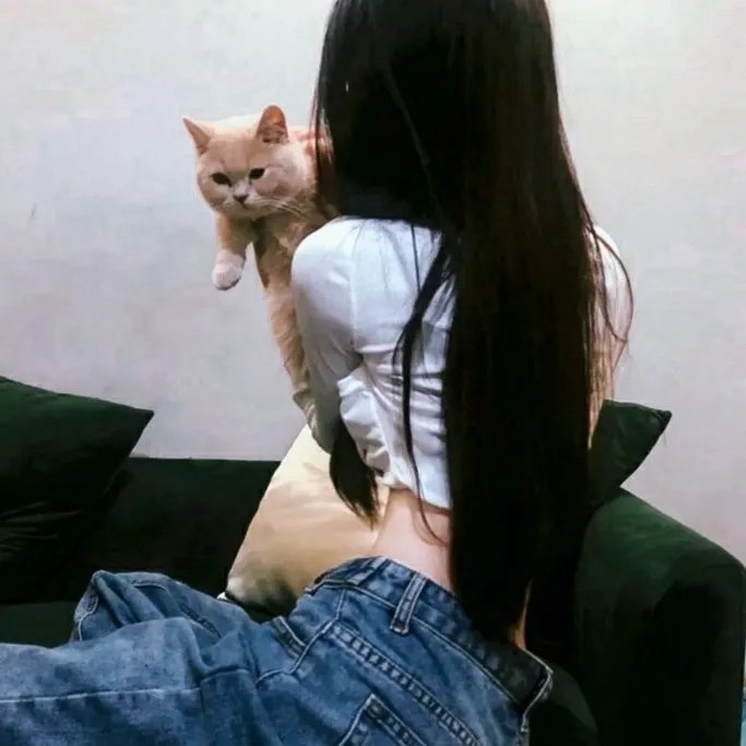 疯狂单身夜 轮播图